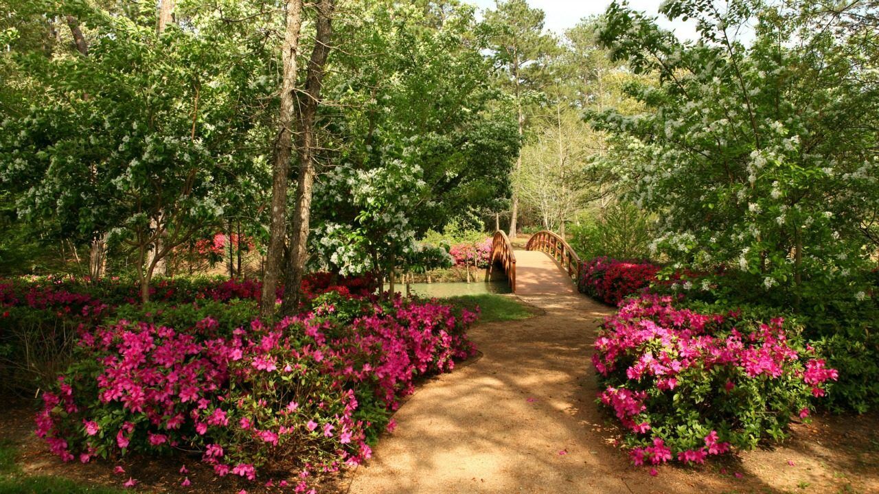 Kasım ayında Kayseri'de en hızlı yetişecek bitkiler açıklandı