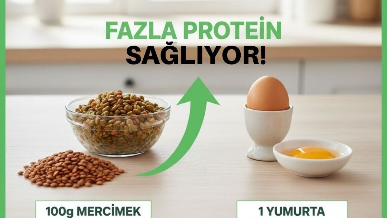 Yumurta, balık ve peyniri solladı! En sağlıklı protein kaynağı açıklandı