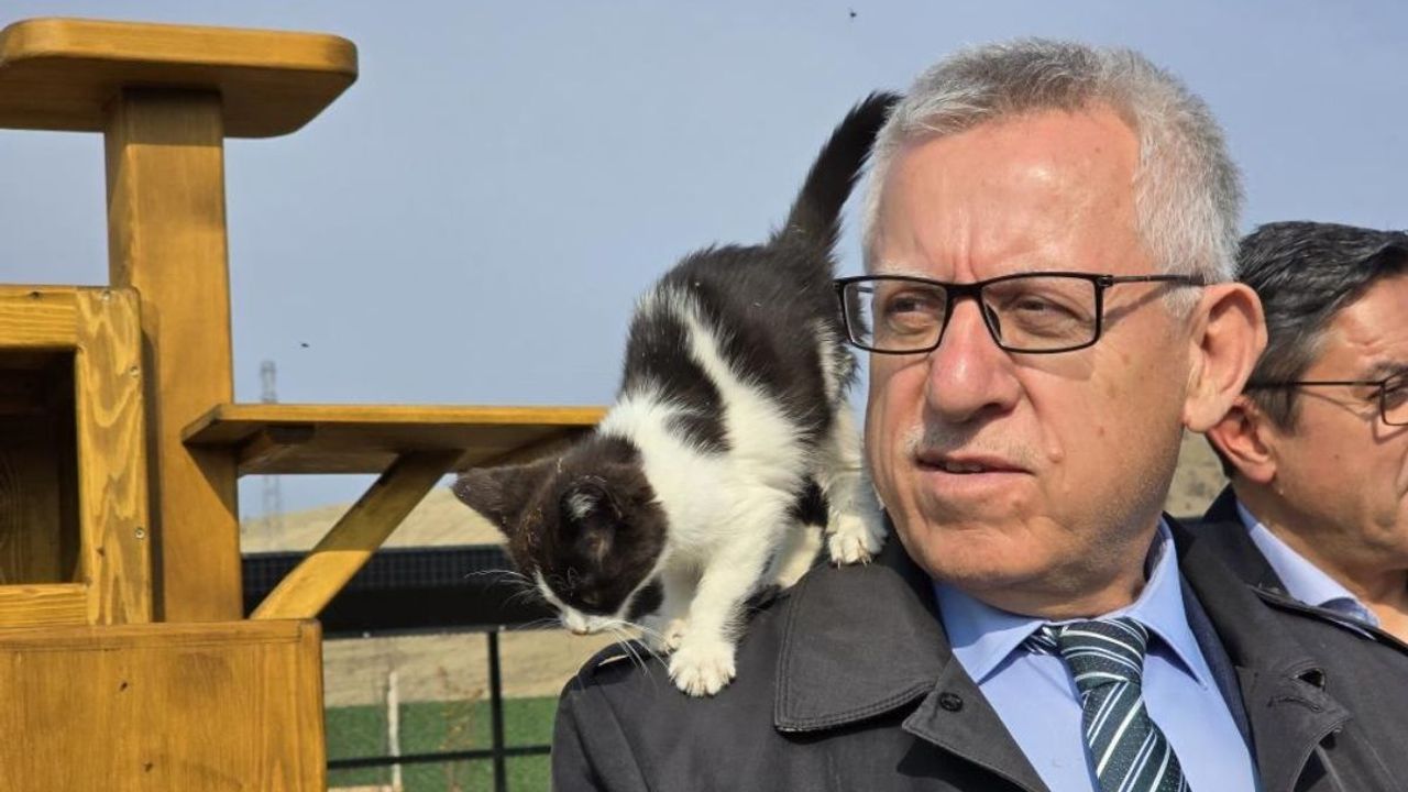 Yozgat Belediye Başkanı Kazım Arslan: Makam odasında kedilerle birlikte çalışıyor