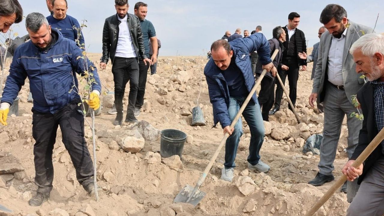 Cumhurbaşkanı Erdoğan’ın himayesinde başlatıldı: İncesu’da fidan dikimi Başkan İlmek’ten