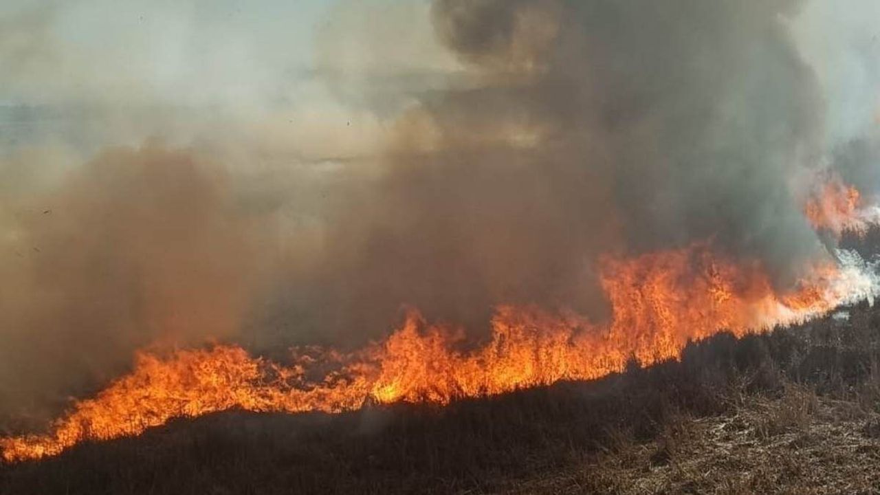 Konya Beyşehir'de iki farklı sazlık alev alev yandı!