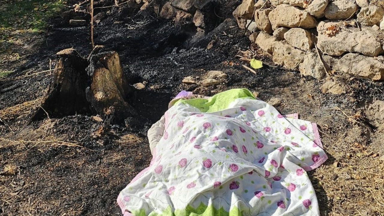 Bahçede kuru ot temizliği yapan kadın yanarak can verdi