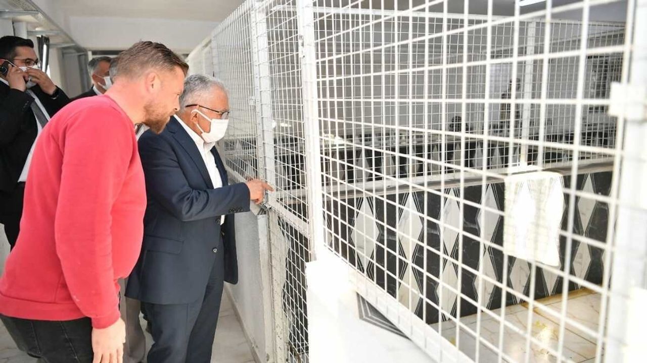 Pınarbaşı’na yeni açık hayvan barınağı geliyor