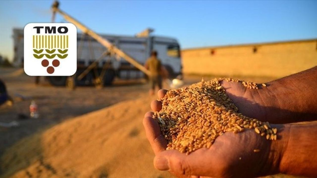 TMO'nun 2026 alım hedefini açıkladı: Buğday ve şeker pancarı alımı ne kadar olacak?