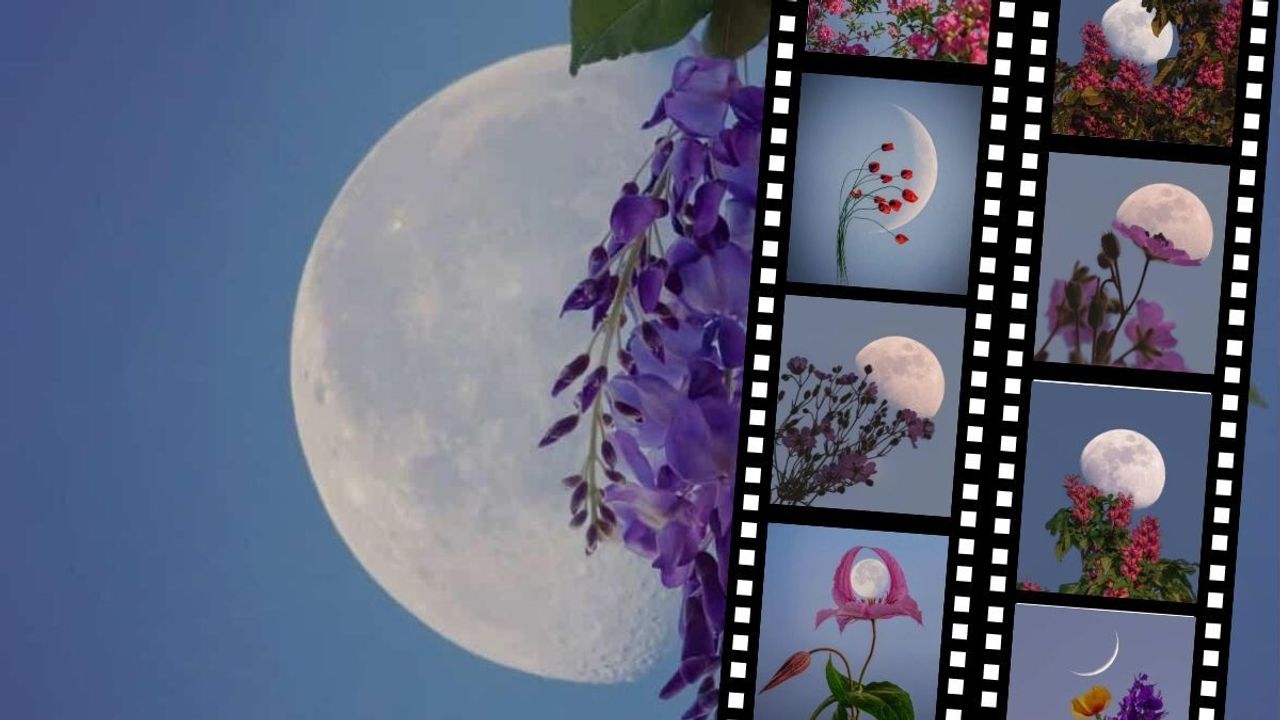 Çiçeklerle Ay’ı buluşturdu: Kayserili gökyüzü fotoğrafçısı Betül Türksoy’un eserleri görenleri etkiledi