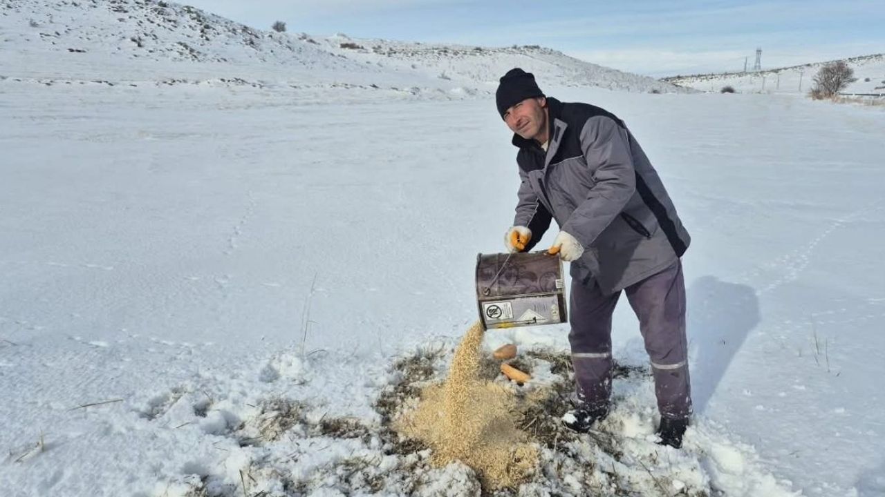 Bünyan’da sokak hayvanları için yem ve mama bırakıldı