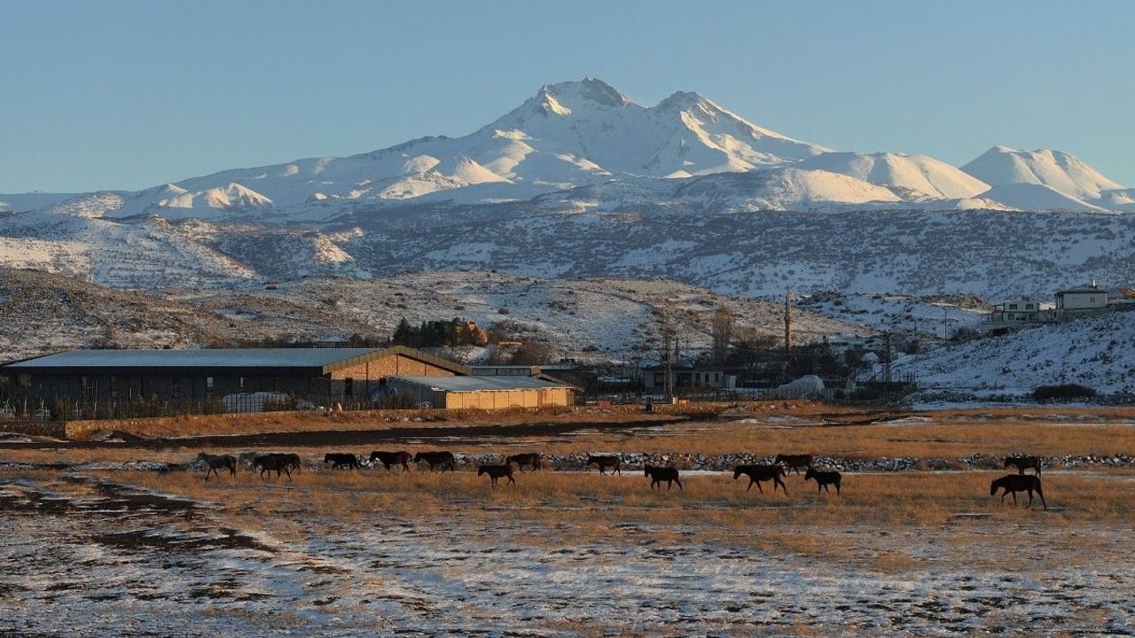 Hürmetçi Sazlığı’nda gün batımı manzarası! Yılkı atları dronla görüntülendi