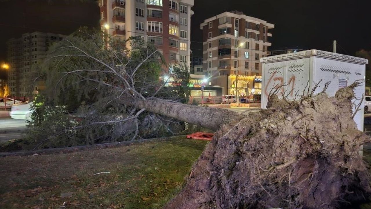 Kayseri için fırtına uyarısı! Kuvvetli rüzgâr geliyor