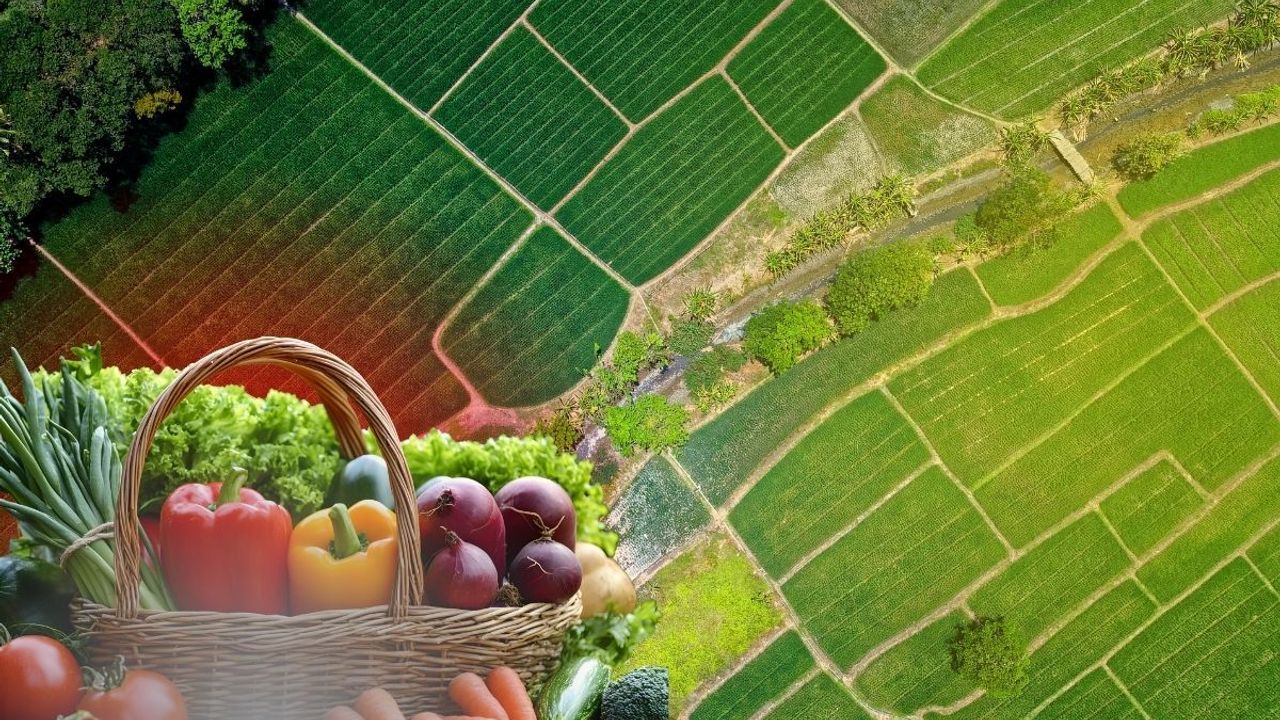 Tarımsal Yatırım Rehberi Yayımlandı: Kayseri'de hangi ilçeye ne yatırımı yapılmalı?