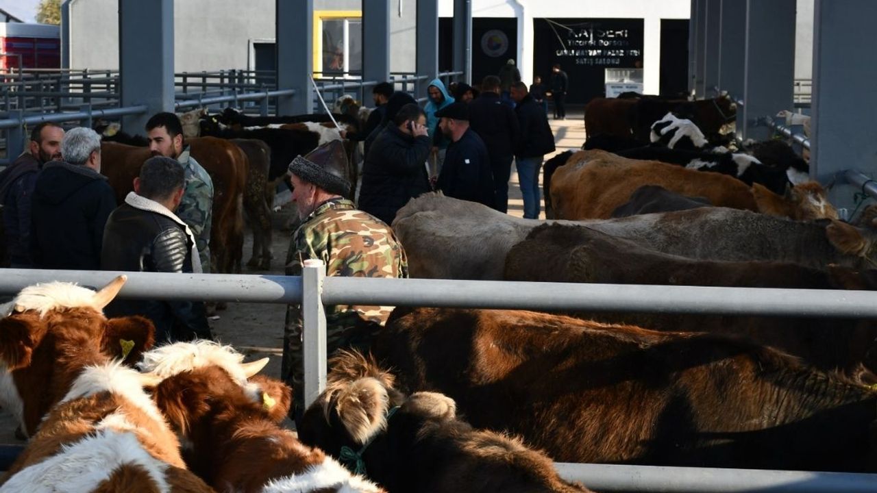 Hayvancılıkta yeni dönem başlıyor: Recep Bağlamış açıkladı, Kayseri bölgesel üs olma yolunda