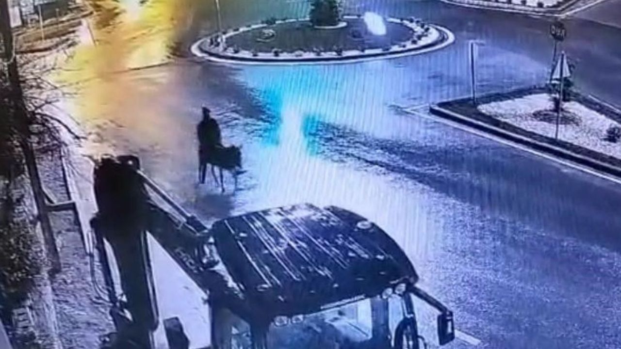 Eşekli kuyumcu hırsızı: Bize ait ahıra gittim. Eşeği ahıra bağladım altınları gömdüm