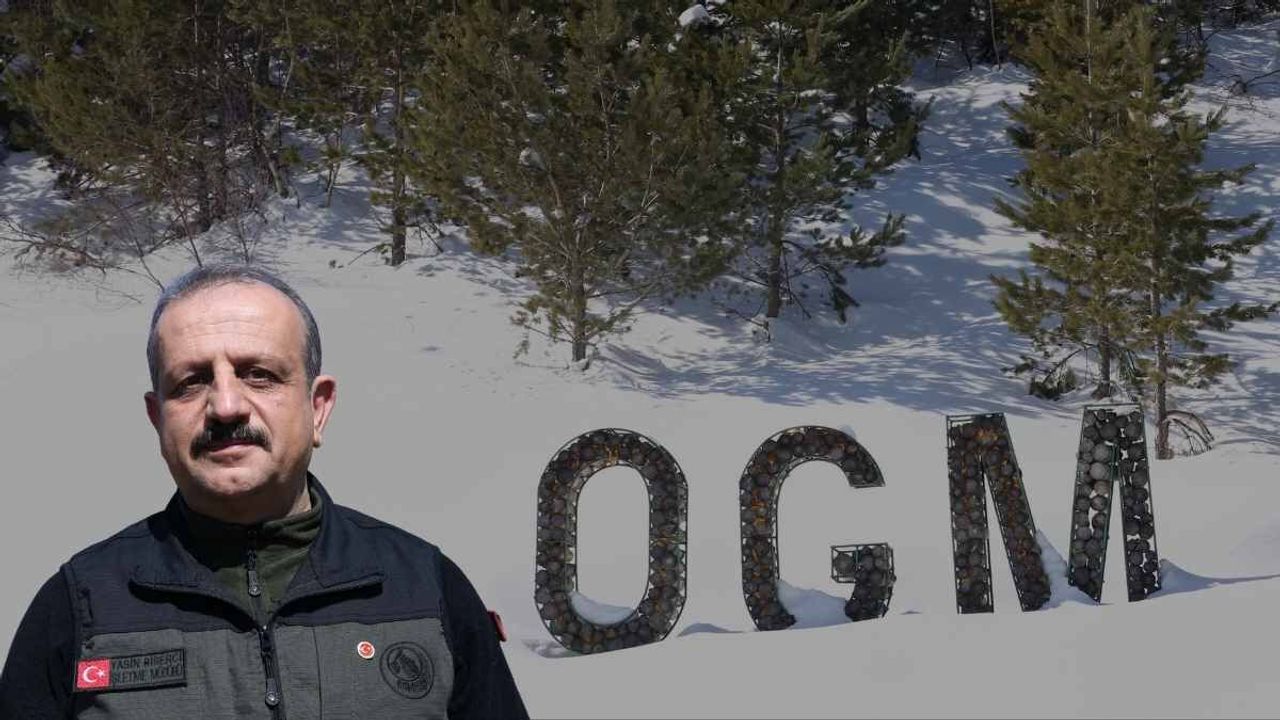 Erciyes yeşillere büründü: 15 yılda 7 milyon fidan toprakla buluştu