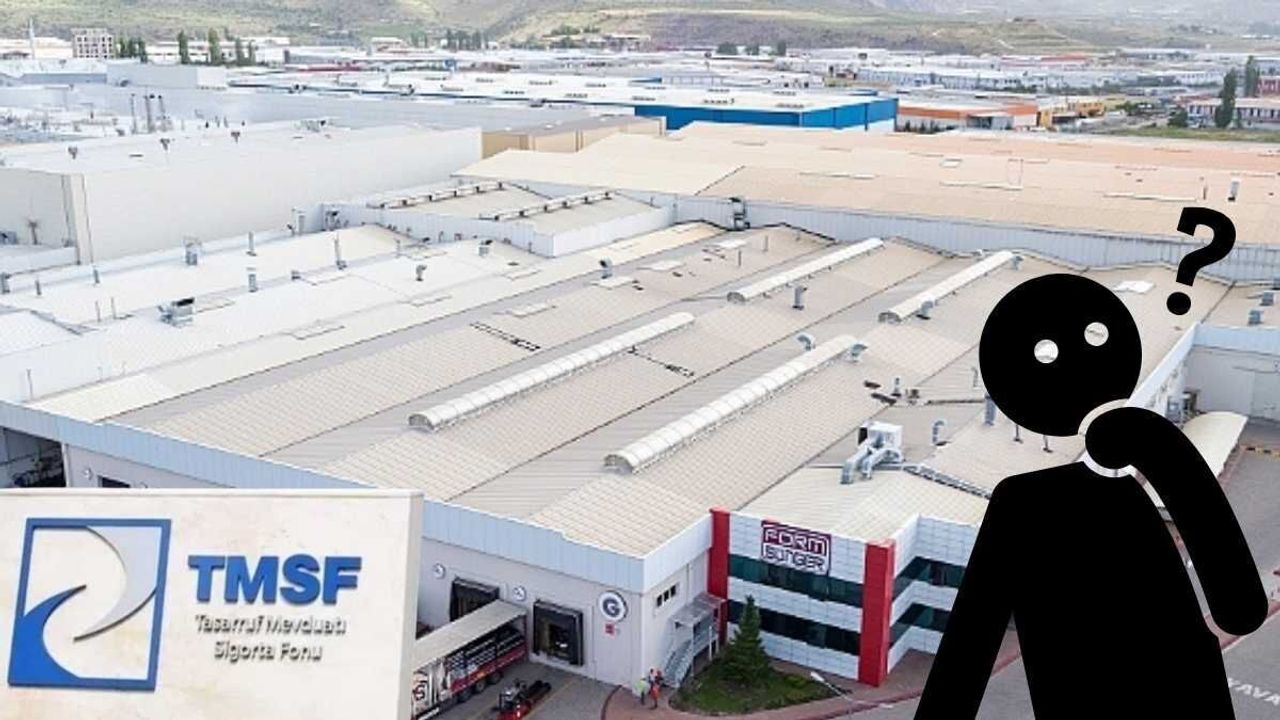 Kayseri’de faaliyet gösteren Form Sünger satıldı mı?