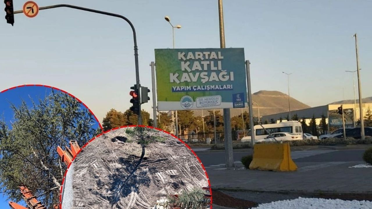 Kartal Kavşağı Projesi bayramdan sonra başlıyor: Bakın ağaçlara ne yapıyorlar?