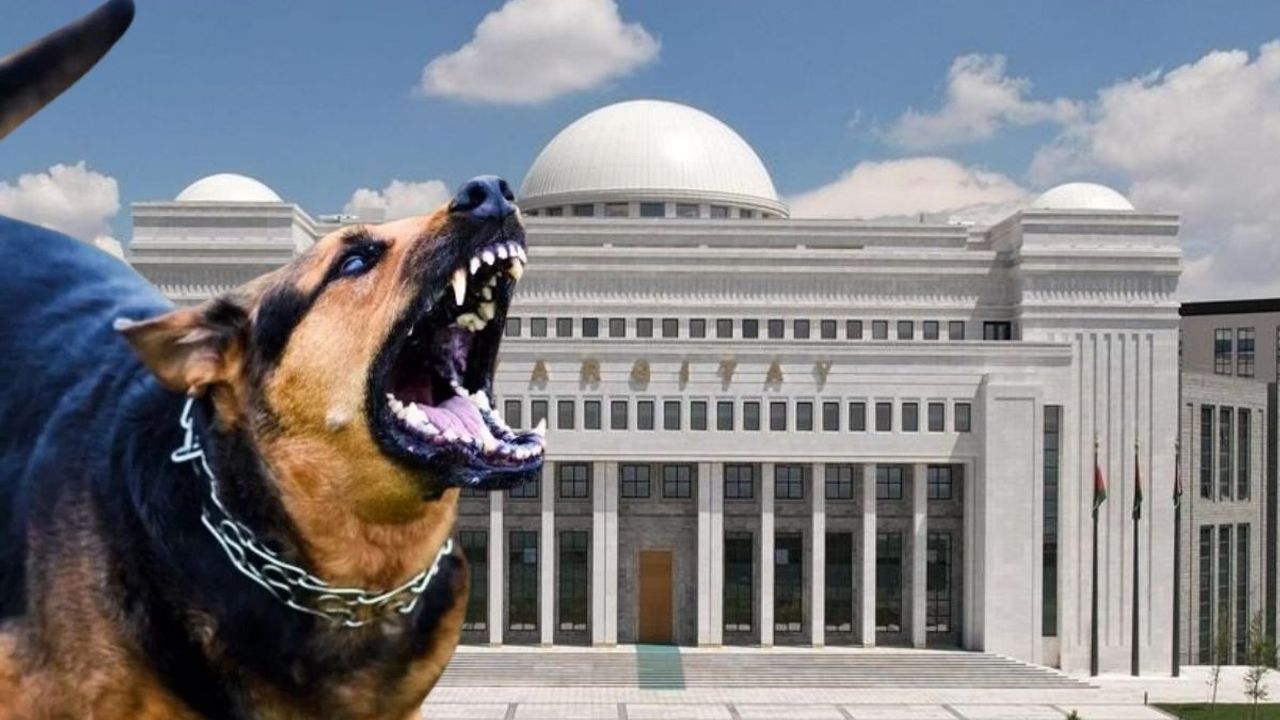 Kayseri’de o ısırığa 2 milyon TL tazminat!