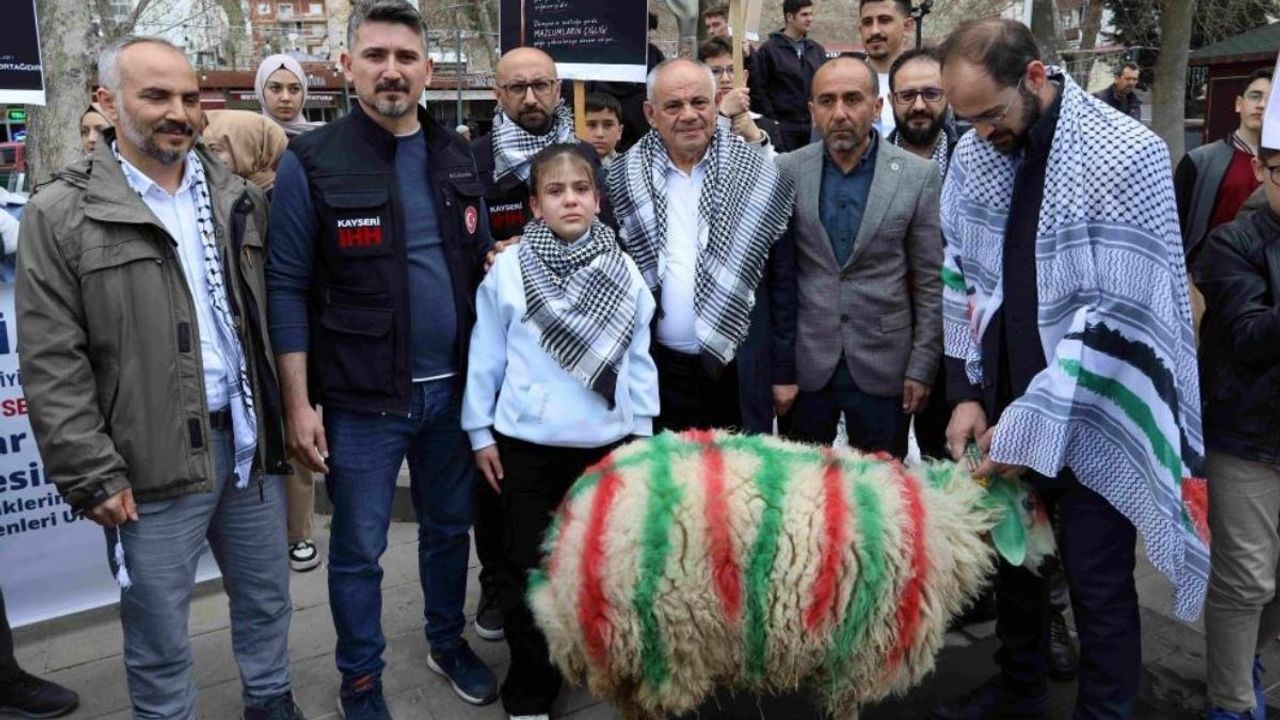 Yahyalı'da küçük kızın elleriyle büyüttüğü kuzu Gazze'ye can suyu olacak!