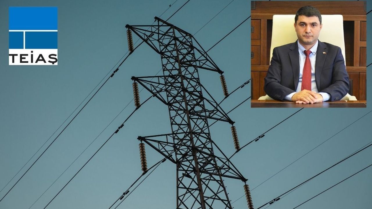 TEİAŞ'ta Genel Müdür değişti: Yerine kim atandı?