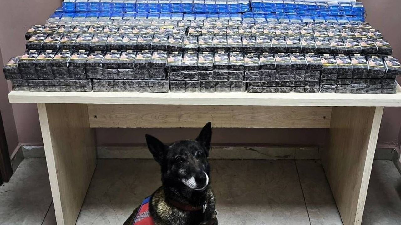 Kayseri’de 1008 paket kaçak sigara ele geçirildi