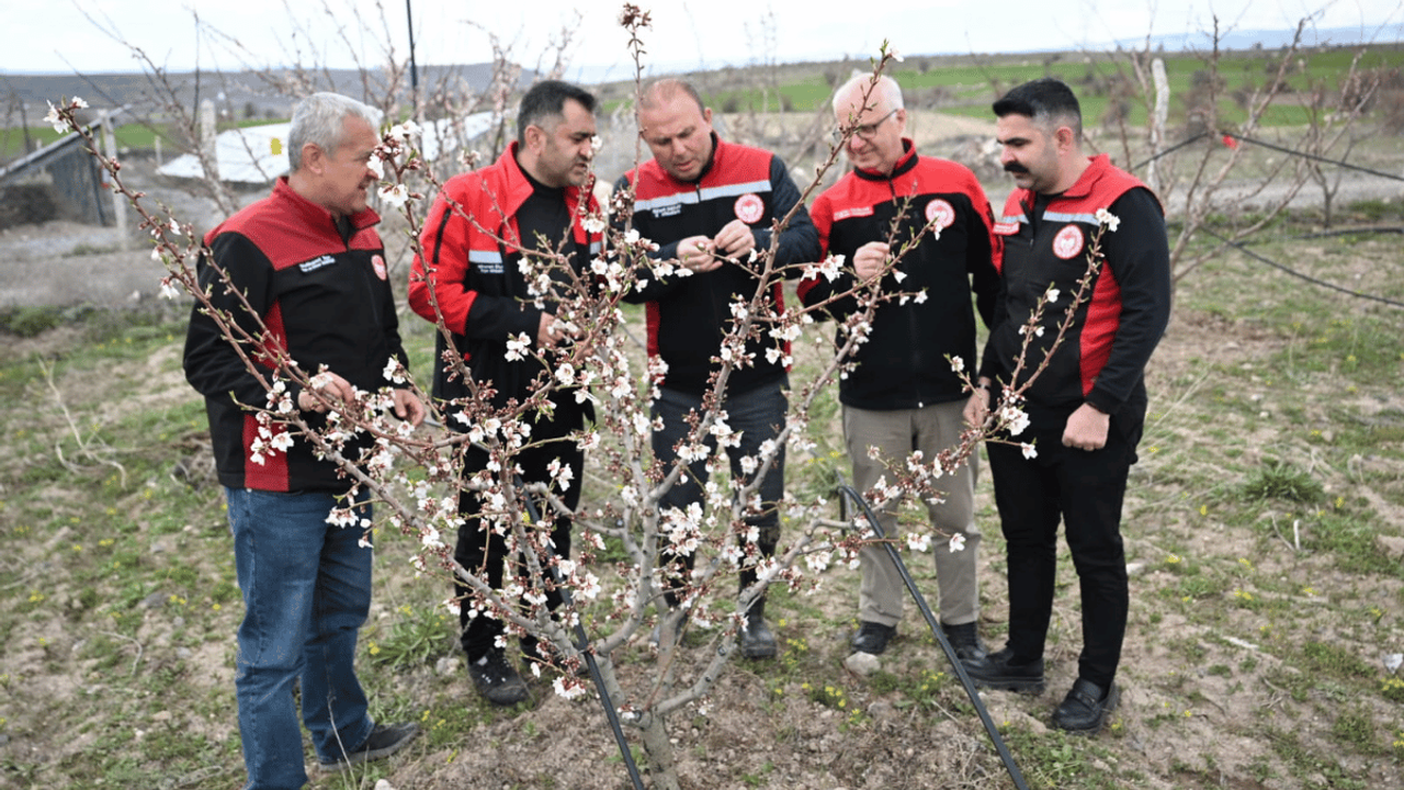 Kayseri’nin ‘zirai don’ bilançosu açıklandı: İşte son durum!