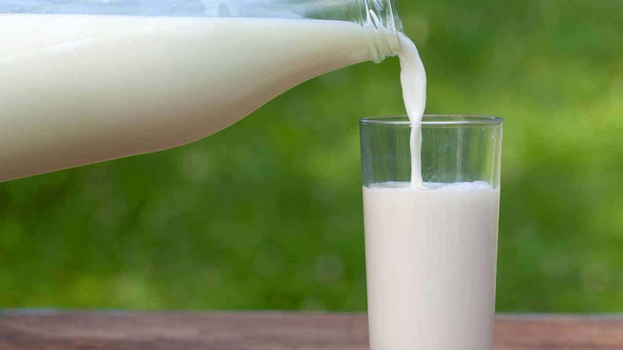 Modern tıp dünyası süt hakkında yalan mı söylüyor