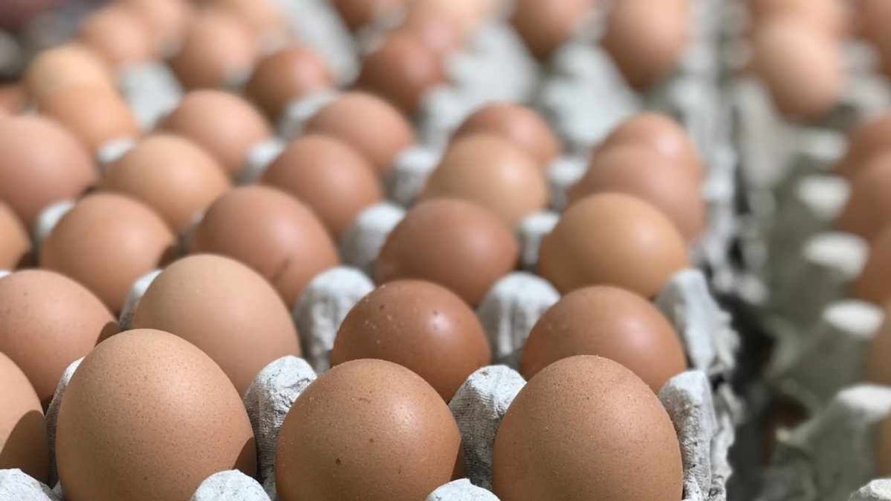 Ev hanımları yumurta haşlamanın püf noktasını buldu: Böyle çok kolay soyuluyor