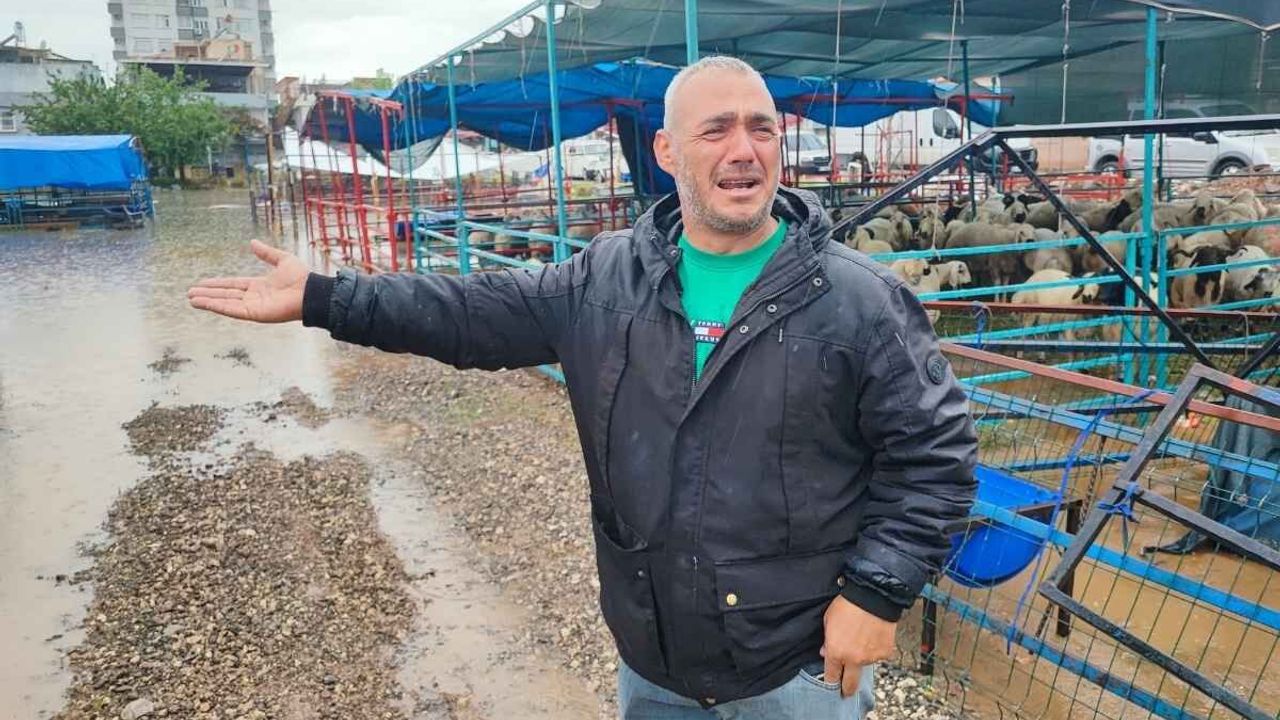 Kurban Bayramı öncesi hayvan pazarını sel bastı!