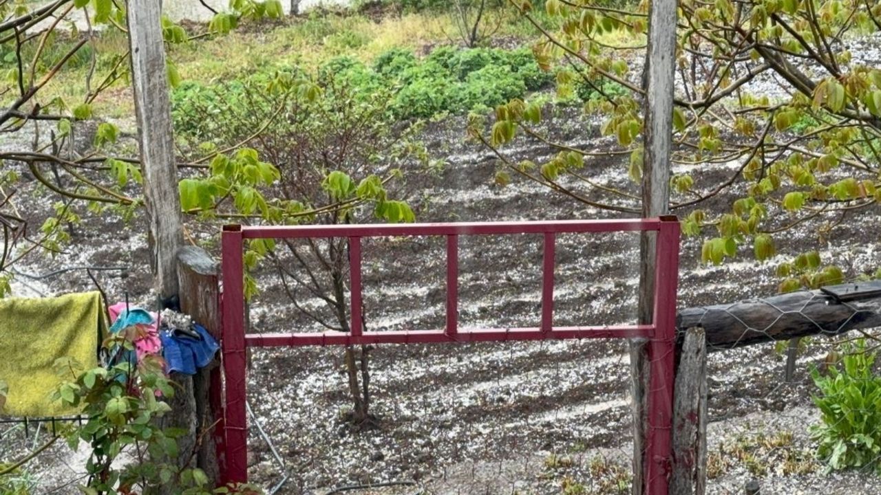 Develi’de dolu yağışı tarım arazilerine zarar verdi!