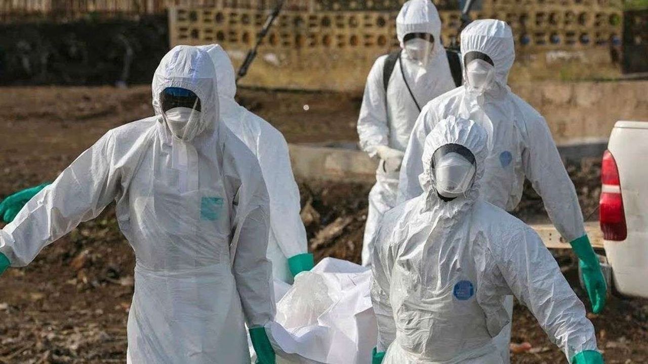 DSÖ küresel acil durum ilan etti! Yeni Ebola salgınında aşı ve tedavi yok