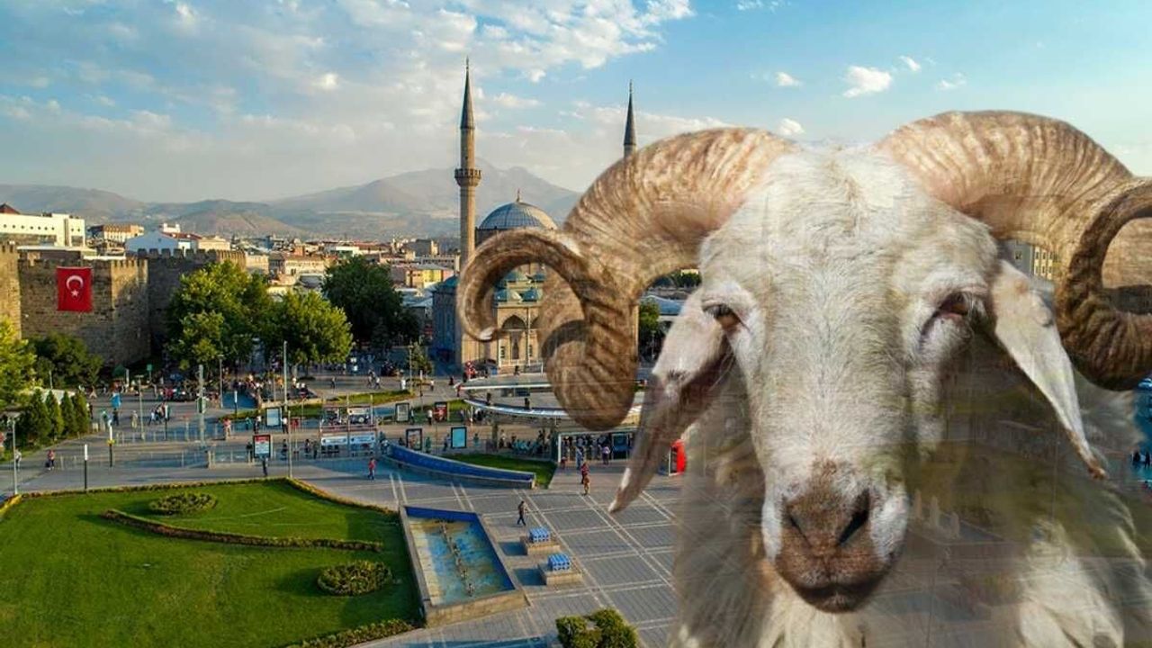 Ercan Aras: Anaç hayvanı keserek kurbanı yerine getiriyorsunuz ama vebal de işliyorsunuz!