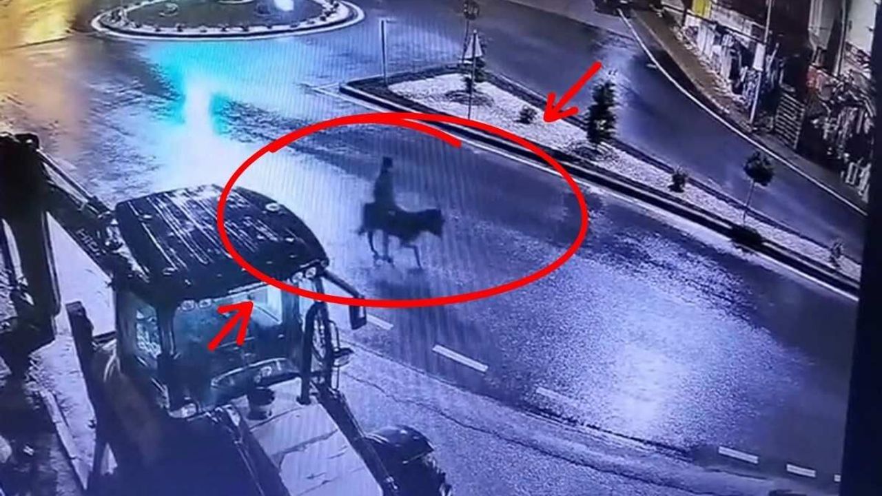 Kayseri’de eşekle kuyumcu soyan sanığın cezası belli oldu