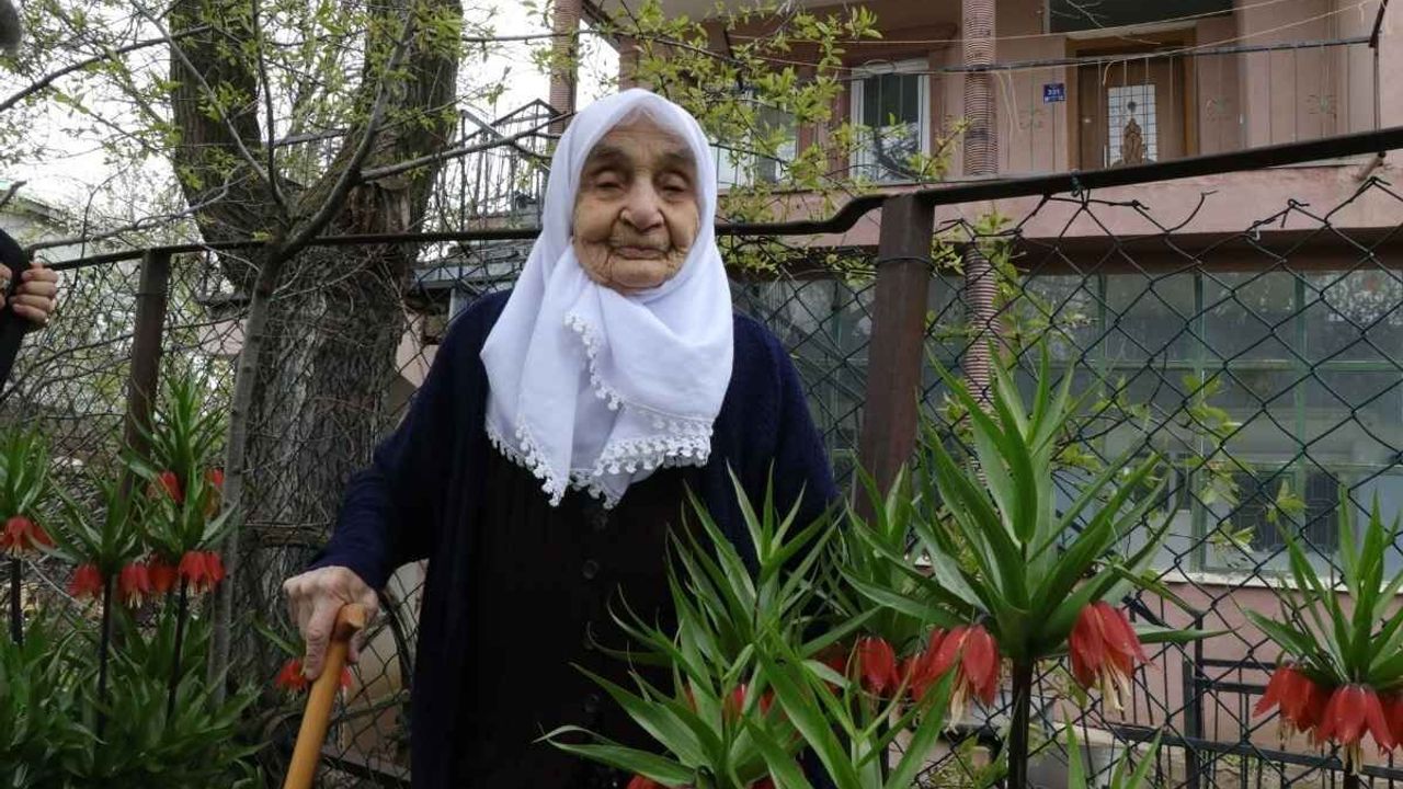 1200 kilometre uzaktan geldi: Kayseri Taşhan’da yeniden yeşerdi!