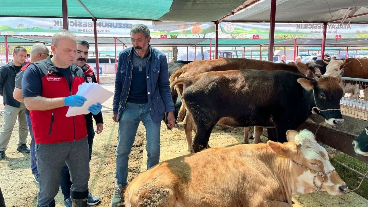 Kayseri'de Kurban Bayramı’nda 173 veteriner hekim görev yapacak!