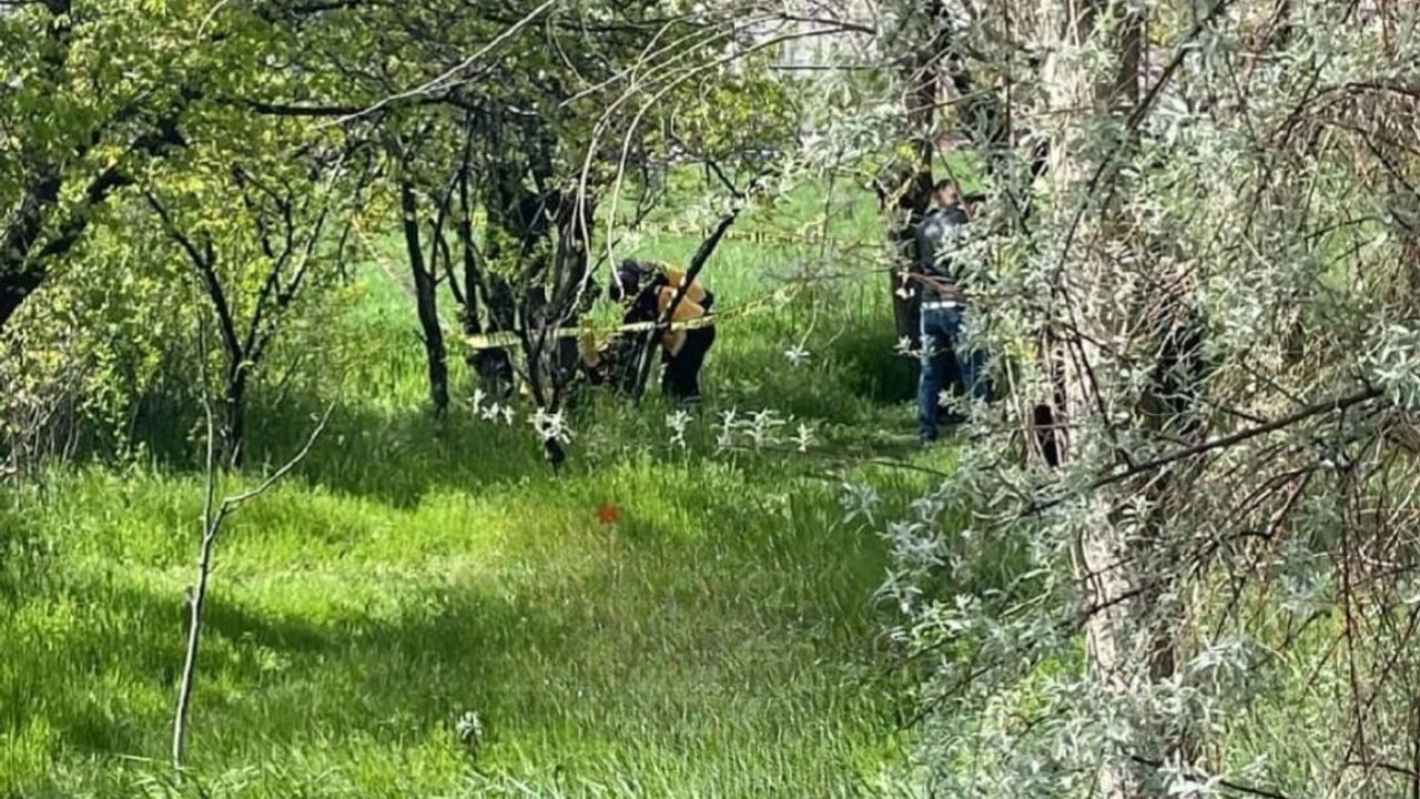 Kayseri’de ağaca asılı erkek cesedi bulundu