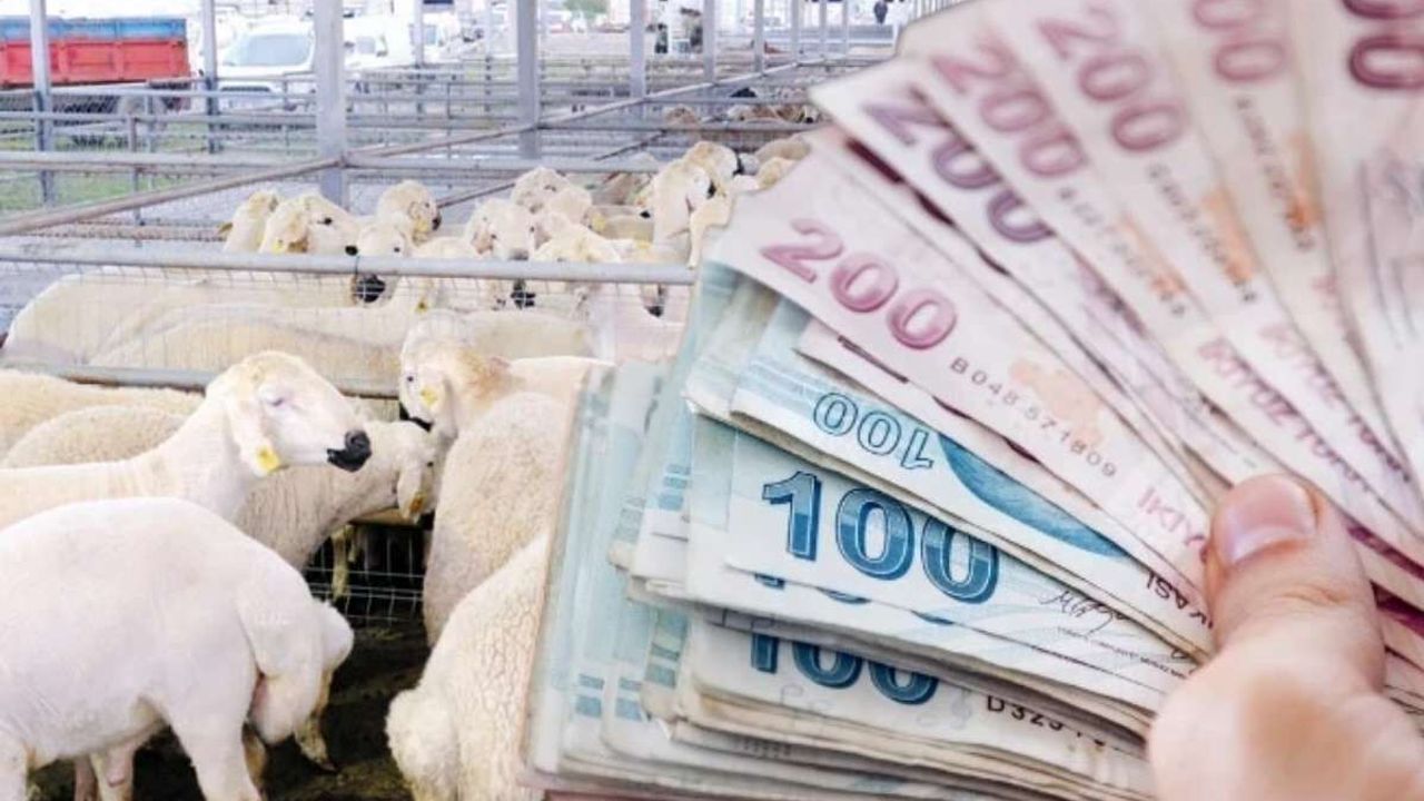 Kurbanın gizli faturası ortaya çıktı: Her kaleme tek tek zam geldi