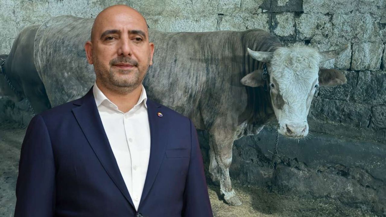 Kayseri’de kurban fiyatları düşük ama satışlar beklenen seviyeye ulaşmadı
