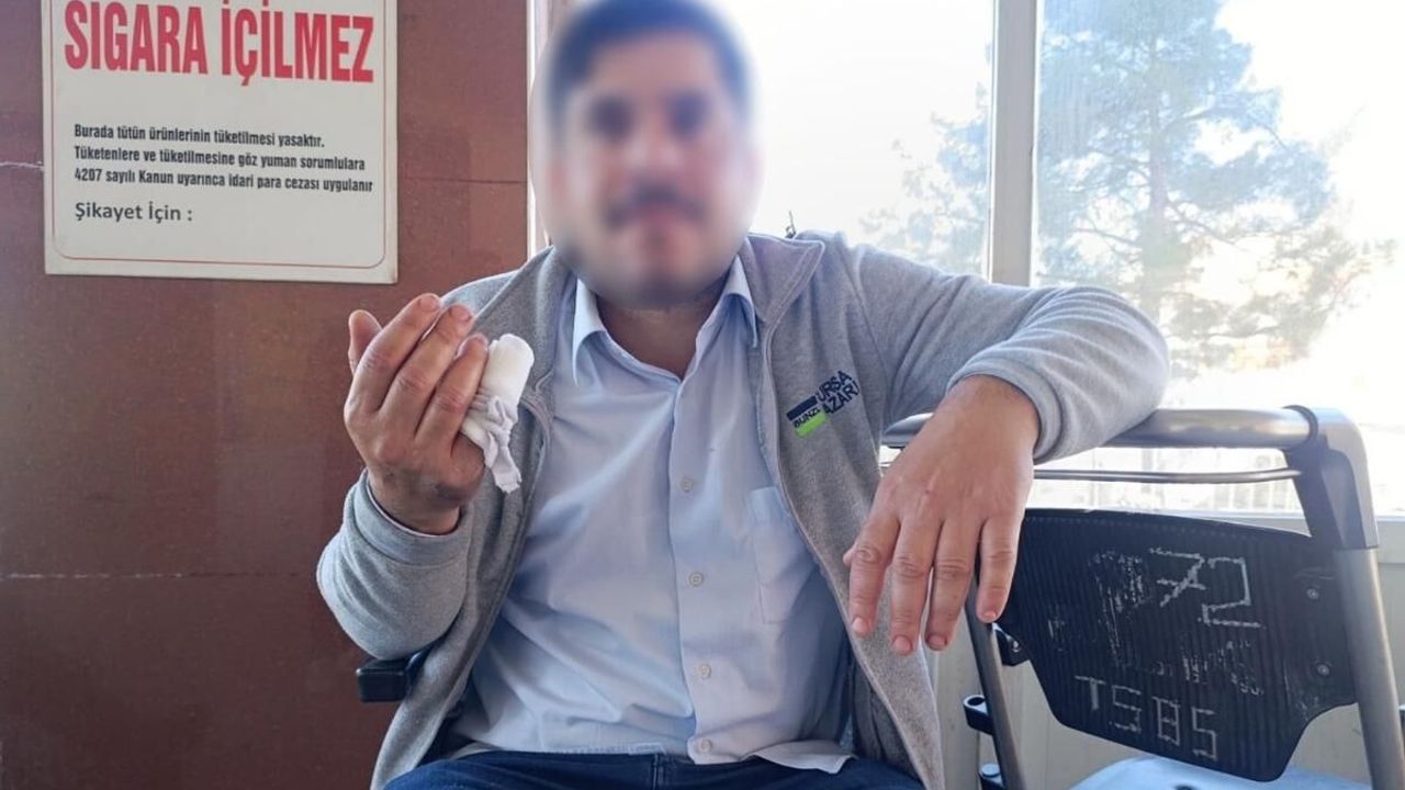 Tosun darbesiyle yaralandı: 60 dikiş atıldı