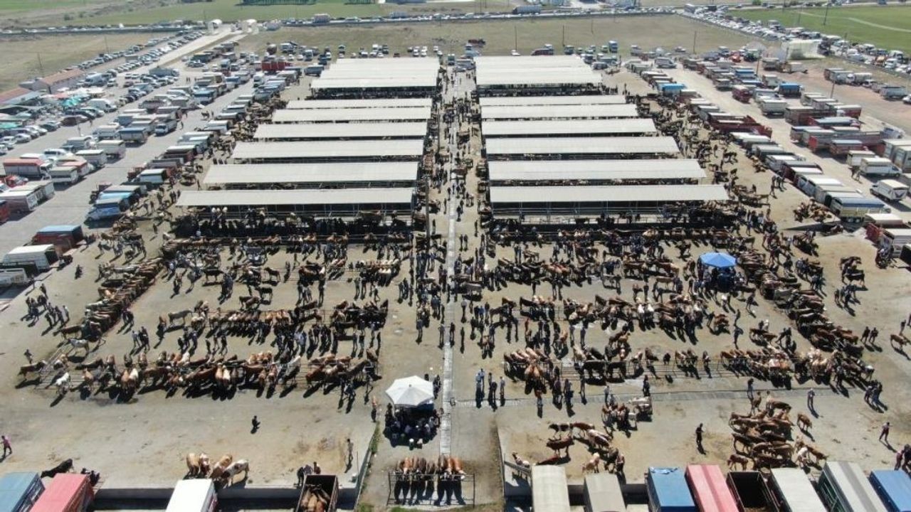 Kayseri’den herkes oraya akın etti: 1 ton 400 bin TL’den satılıyor!