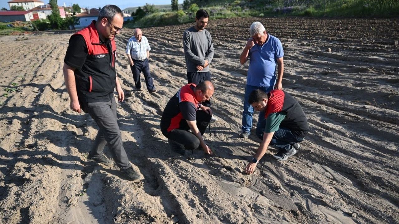 Develi’de meydana gelen sel ve dolu yağışı tarım alanlarını vurdu: Bülent Saklav’dan inceleme!