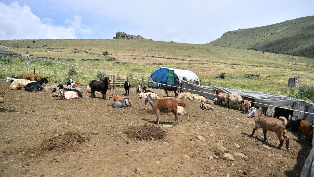 Kayseri Büyükşehir’den Develi’de üreticiyi sevindirecek haber