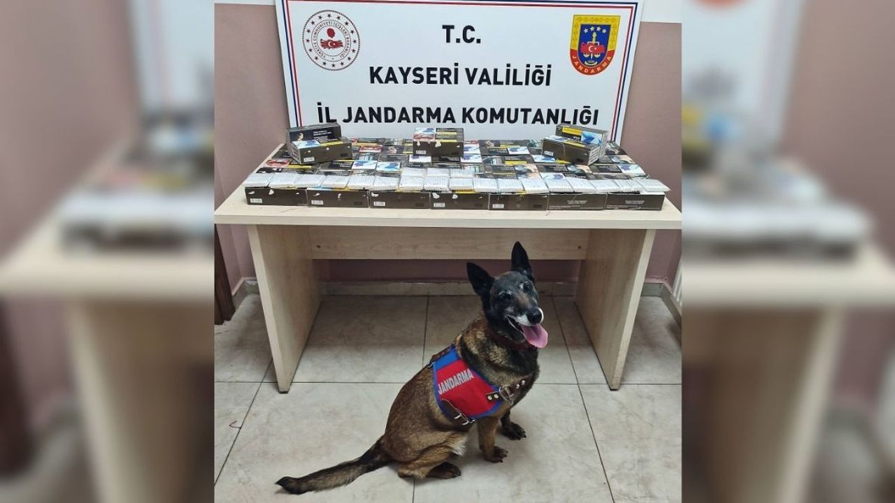 Pınarbaşı’nda 10 bin doldurulmuş makaron ele geçirildi