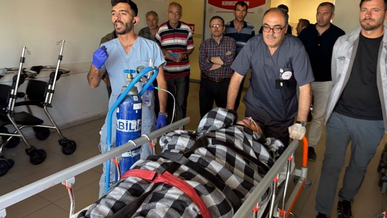 Sivas’ta ayı saldırısına uğrayan çoban yaralandı!