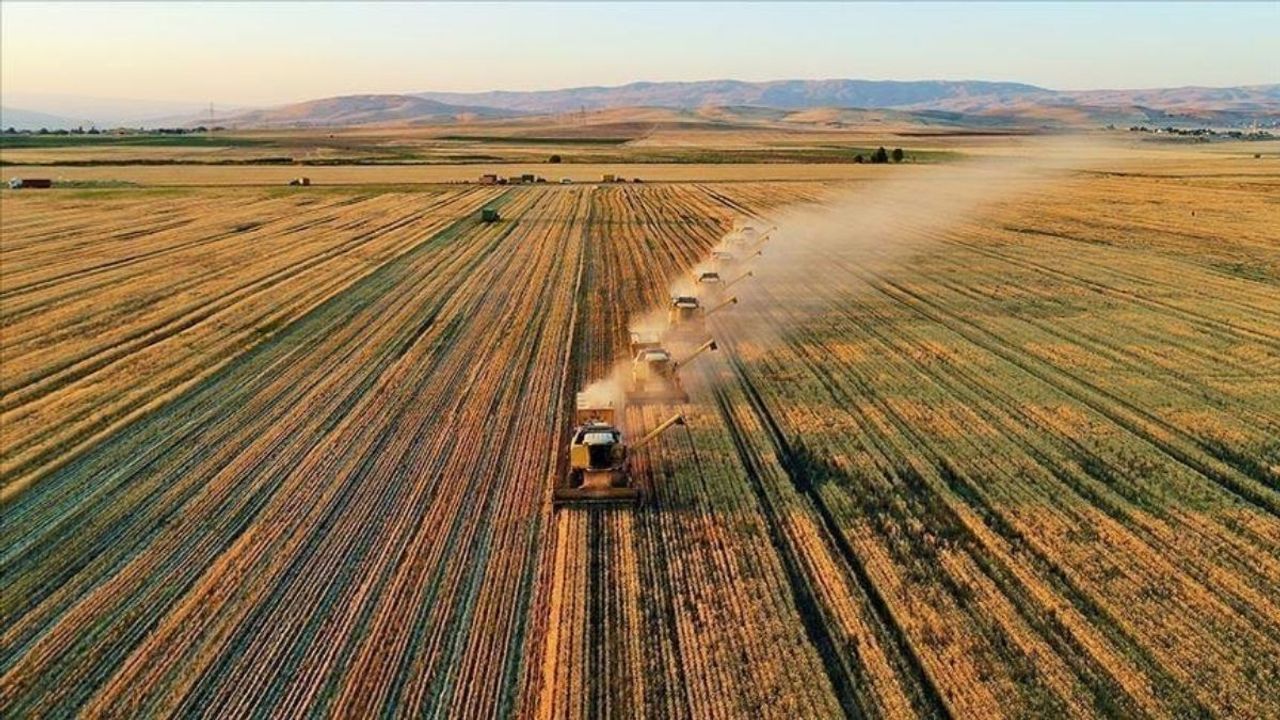 Türkiye'nin 29 yıllık tarım devi iflas etti: Köklü firma kepenkleri kapattı!