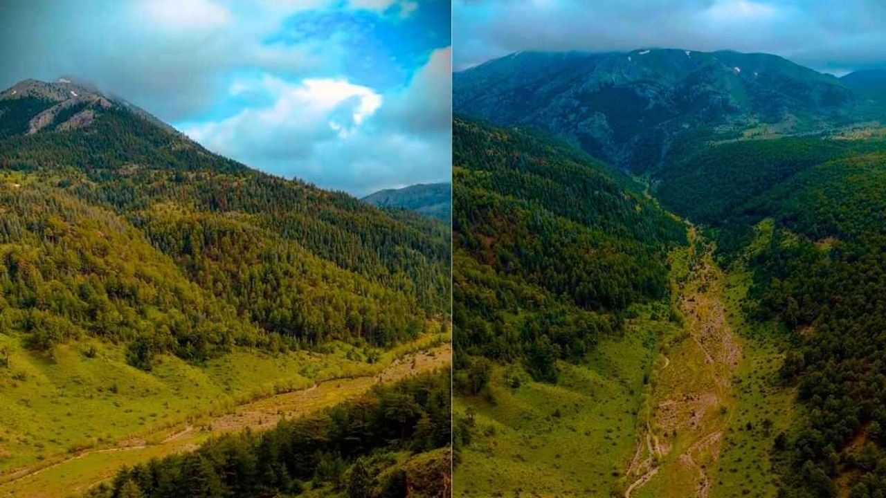 Kayseri’de gizli kalmış doğa karikası: Yazıçam Ormanları İsviçre’yi andırıyor