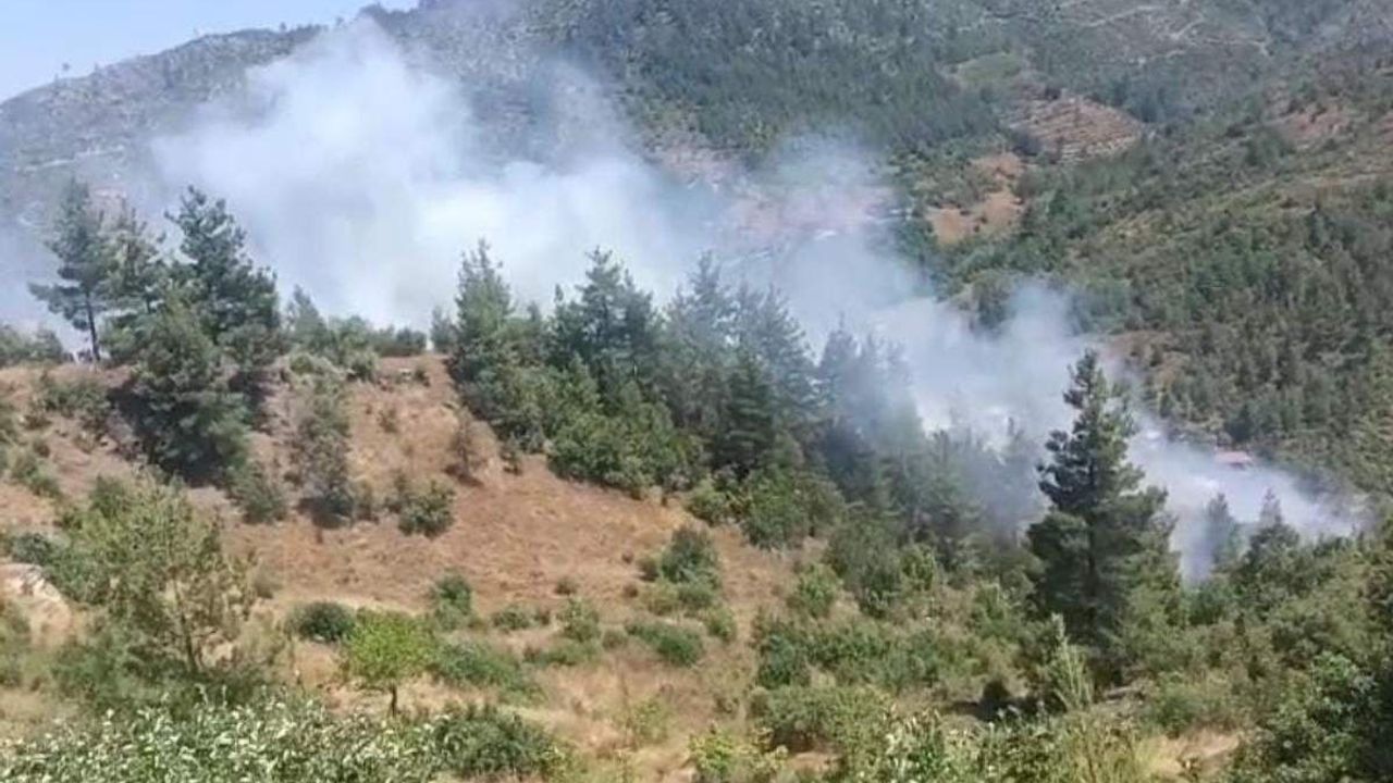 Adana'da orman yangını!