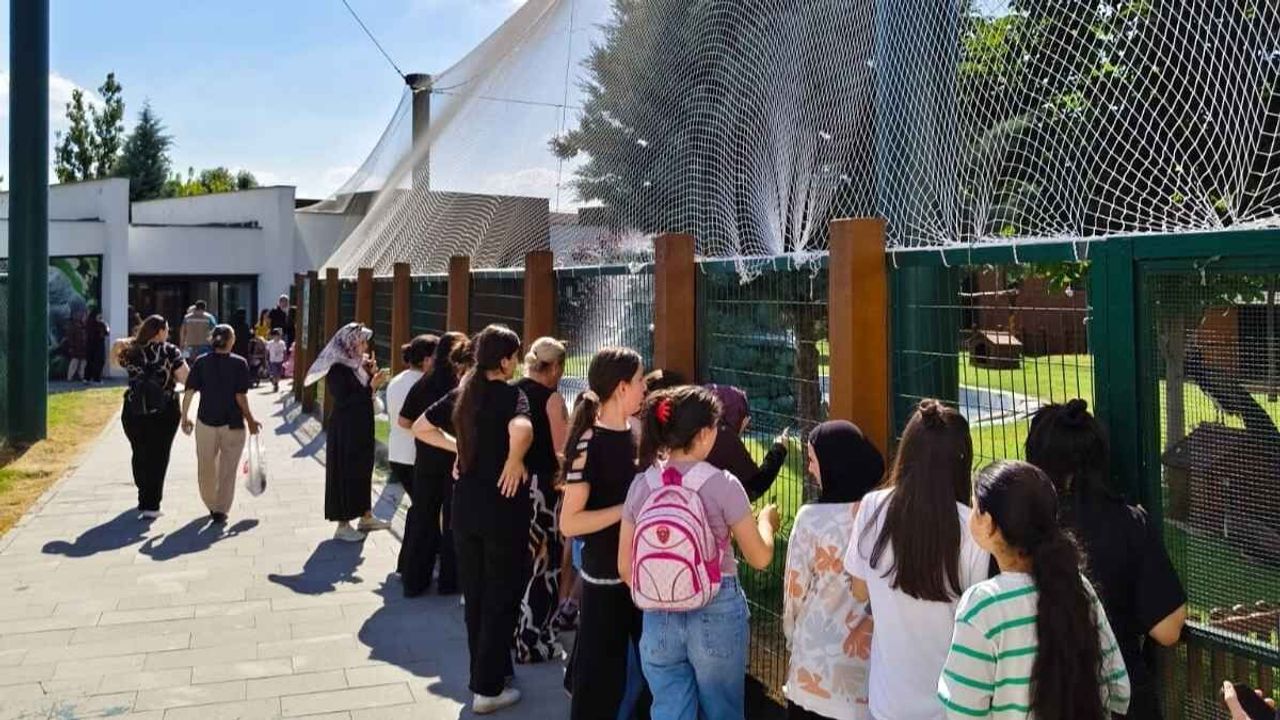 Kayseri’de belediye ücretsiz yaptı: 6 bin kişi akın etti!