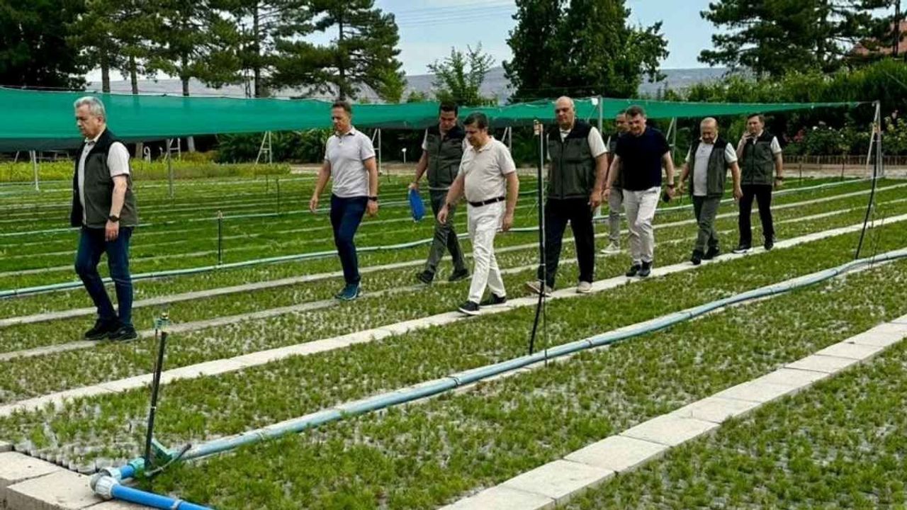 Orman Genel Müdür Yardımcısı İbrahim Yüzer, Kayseri’de kurulacak fidanlık şefliğini inceledi