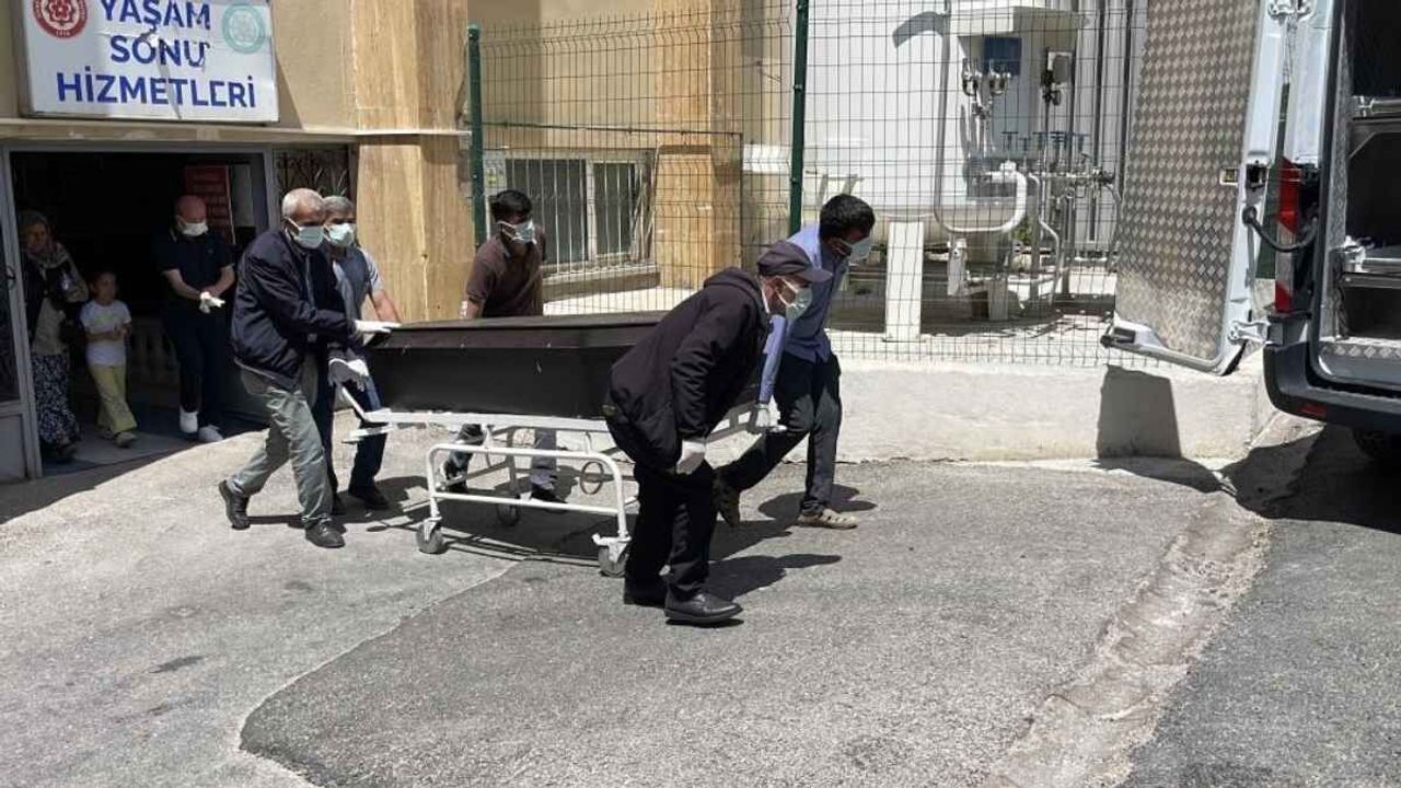 Sivas’ta 55 yaşındaki kadın, kene tutunması sonucu hayatını kaybetti!