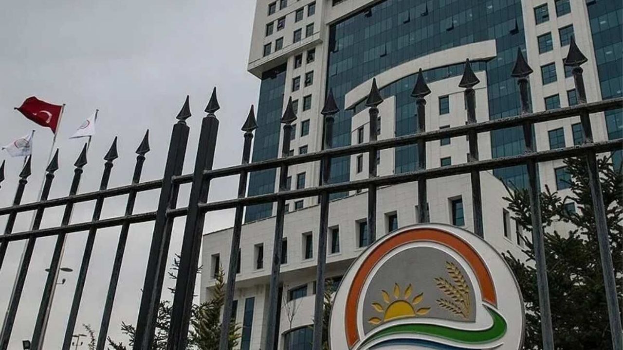 Kayserili firmaya ait peynirde nişasta kullanıldığı tespit edildi