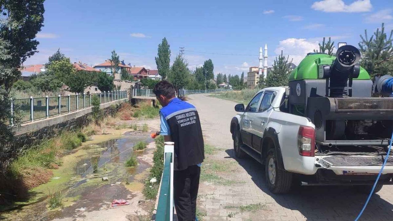 Kayseri’de sinek ve haşerelere karşı ilaçlama seferberliği!