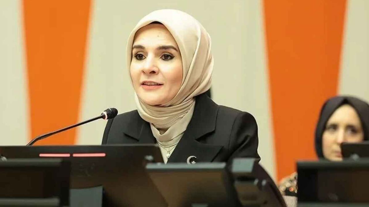 Bakan Göktaş: Hanelerin yüzde 57’sinde çocuk yok